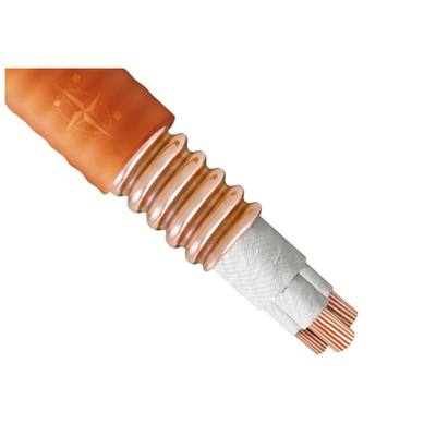                    Heat Resistant High Temperature Cable for Safe Operation             
