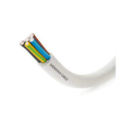                    China 450/750V Roll Copper/PVC BVV Cable Solid Conductor with Low Price BV             