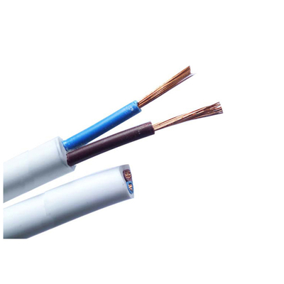                    China 450/750V Roll Copper/PVC BVV Cable Solid Conductor with Low Price BV             