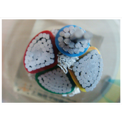                    Safe PVC Insulated Copper Conductor Cables for Indoor Use             