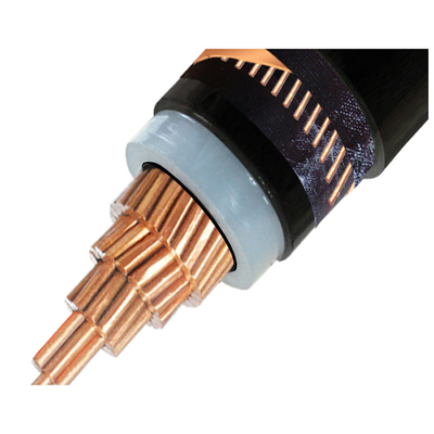                   Low Maintenance XLPE Insulated Power Cable for Hassle Free Use             