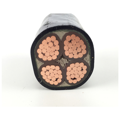                    Low Maintenance XLPE Insulated Power Cable for Hassle Free Use             