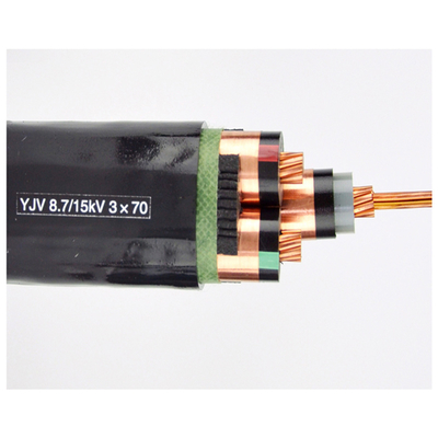                    Dependable XLPE Insulated Power Cable for Critical Infrastructure             